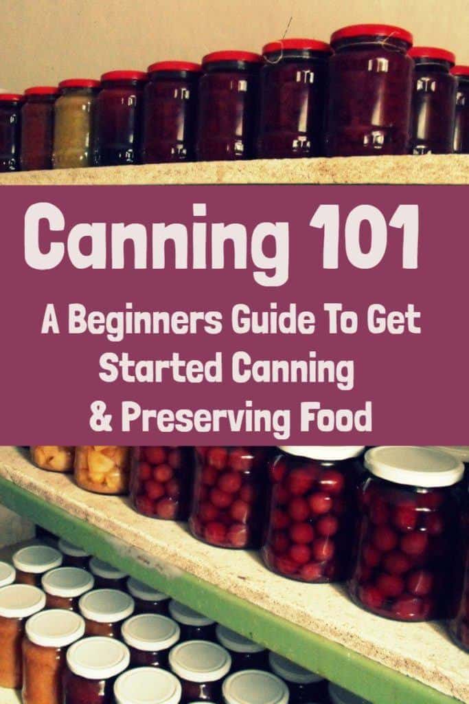 罐头101 -初学者指南，开始罐头和保存食品