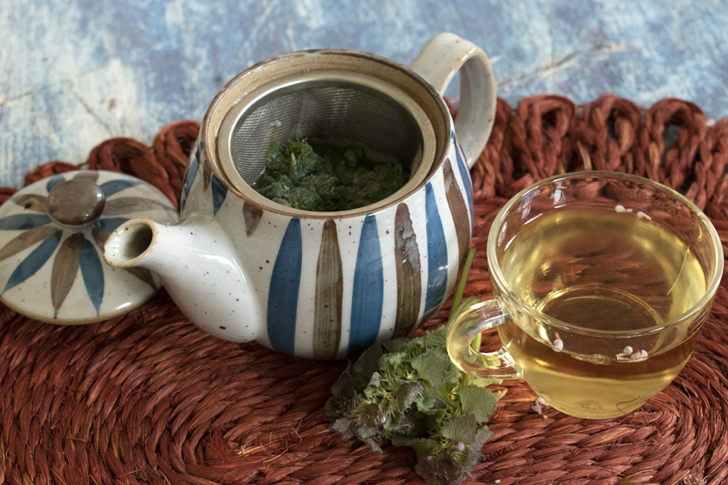 一个茶壶和一杯紫荨麻茶。
