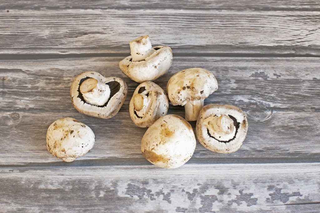 白色纽扣蘑菇。
