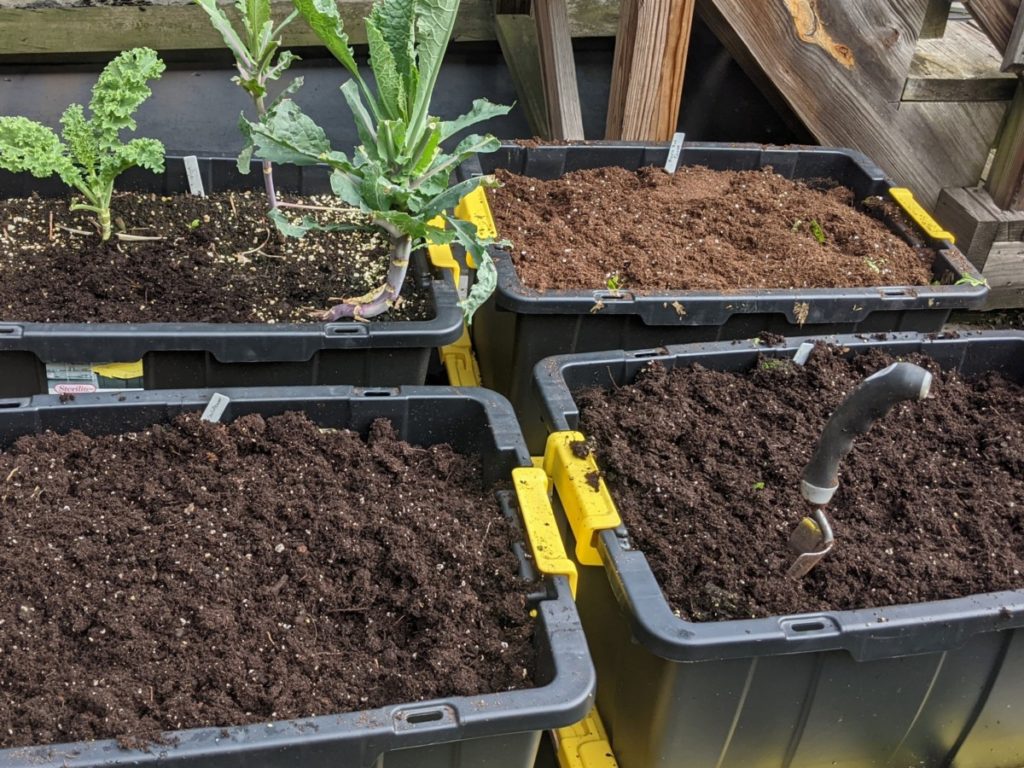 新种植的集装箱花园。