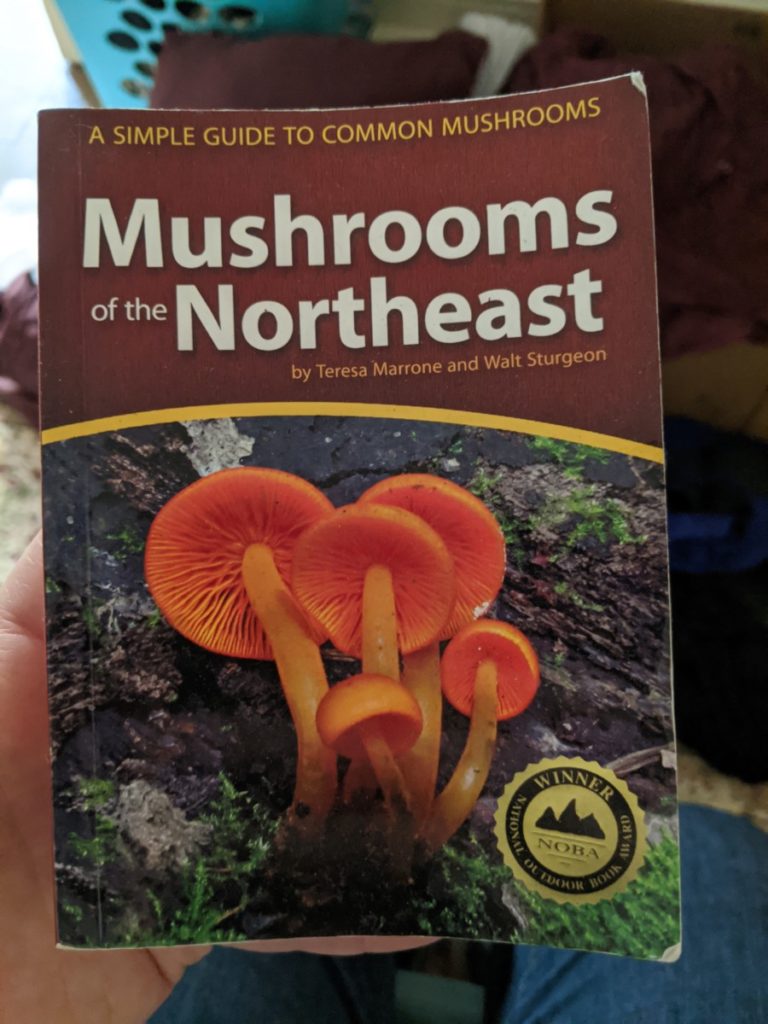 一本《东北蘑菇》，蘑菇的野外觅食指南。