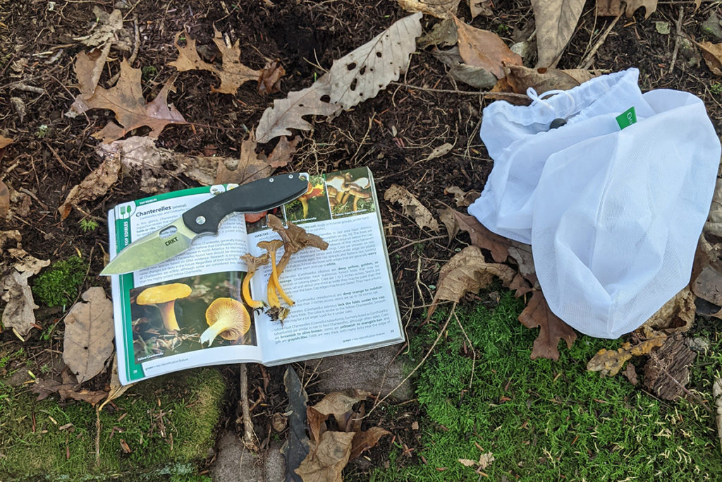 网眼制作袋子，一把小刀和森林地面上的野外指南——给觅食者的礼物。