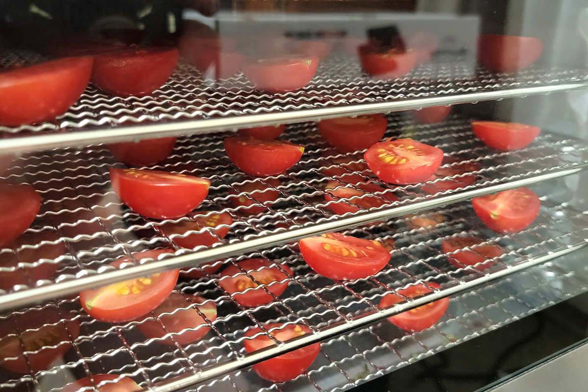 番茄食品脱水器半托盘。