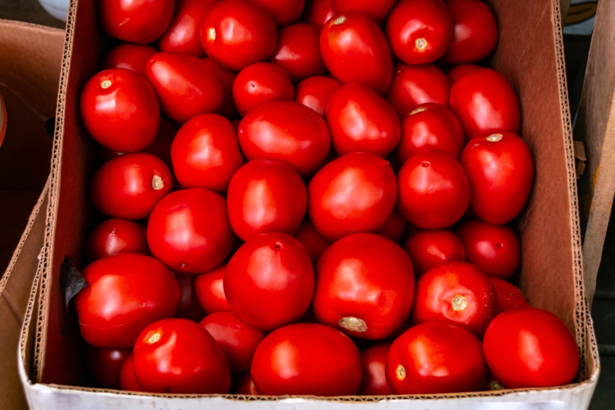 一盒熟透的红西红柿。