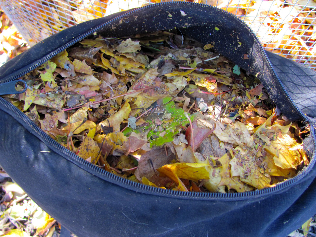 抽真空的叶子袋拉开拉链，这样你就能看到里面被覆盖的叶子。