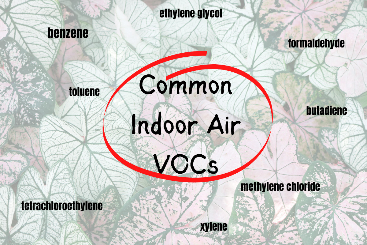 Graphic showing common VOCs found in indoor air.
