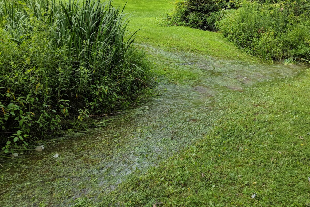 大雨过后，后院被淹了。