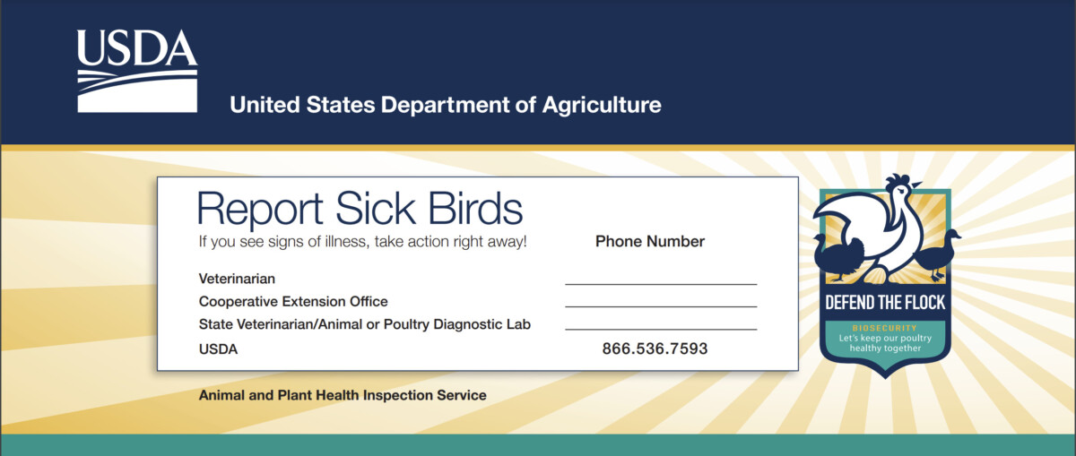 来自美国农业部病禽热线的信息图表