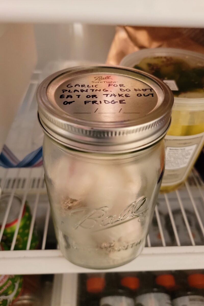 冰箱里放着一罐大蒜，盖子上写着:“种植用大蒜。”不要吃也不要从冰箱里拿出来。”