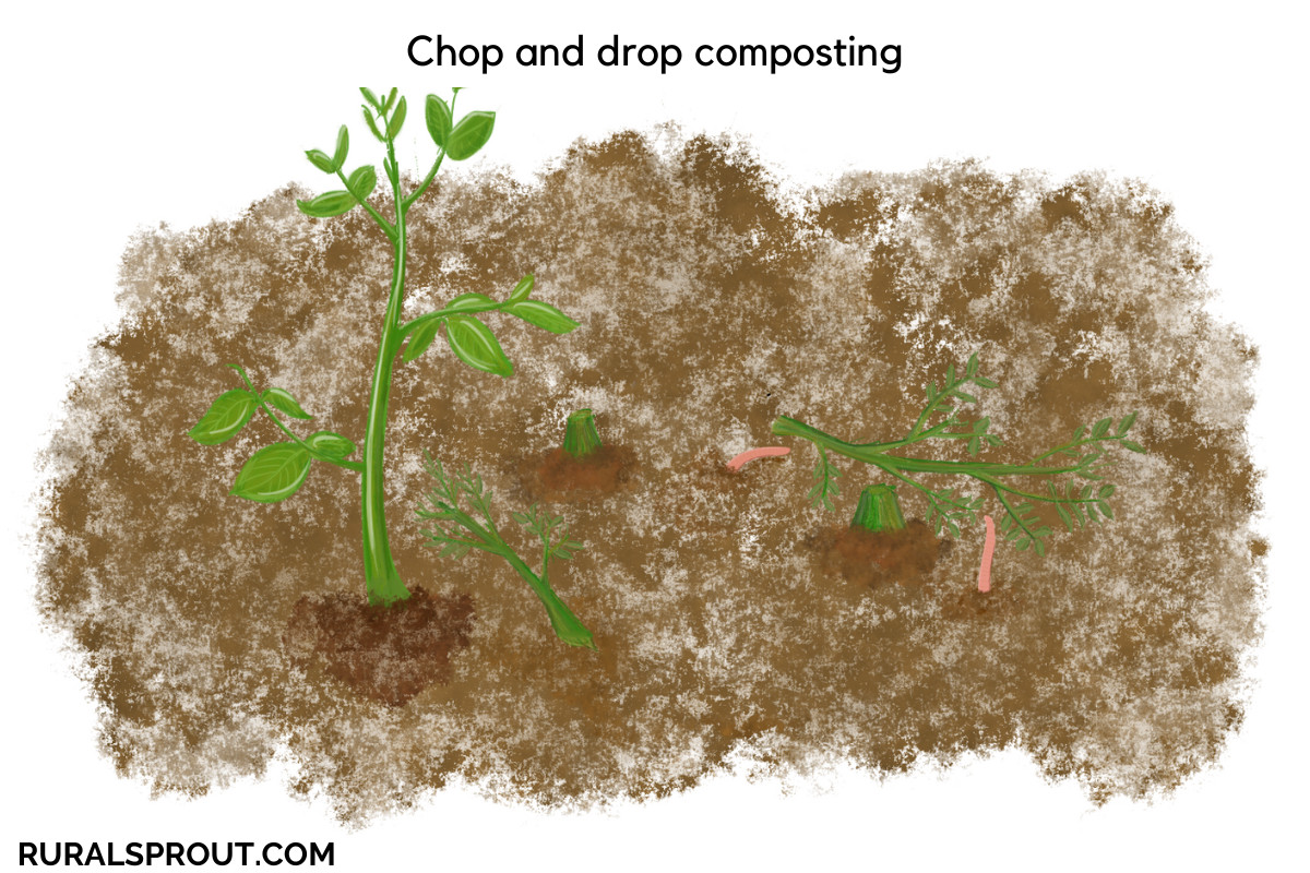 数字绘画的植物被切碎和dropped for worms to decompose