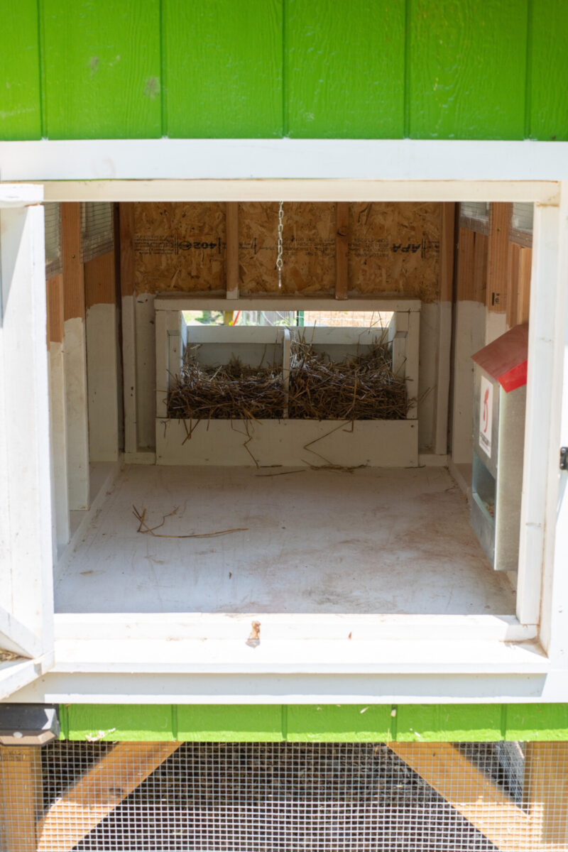 Completely cleaned out chicken coop, ready for the a deep layer of litter.