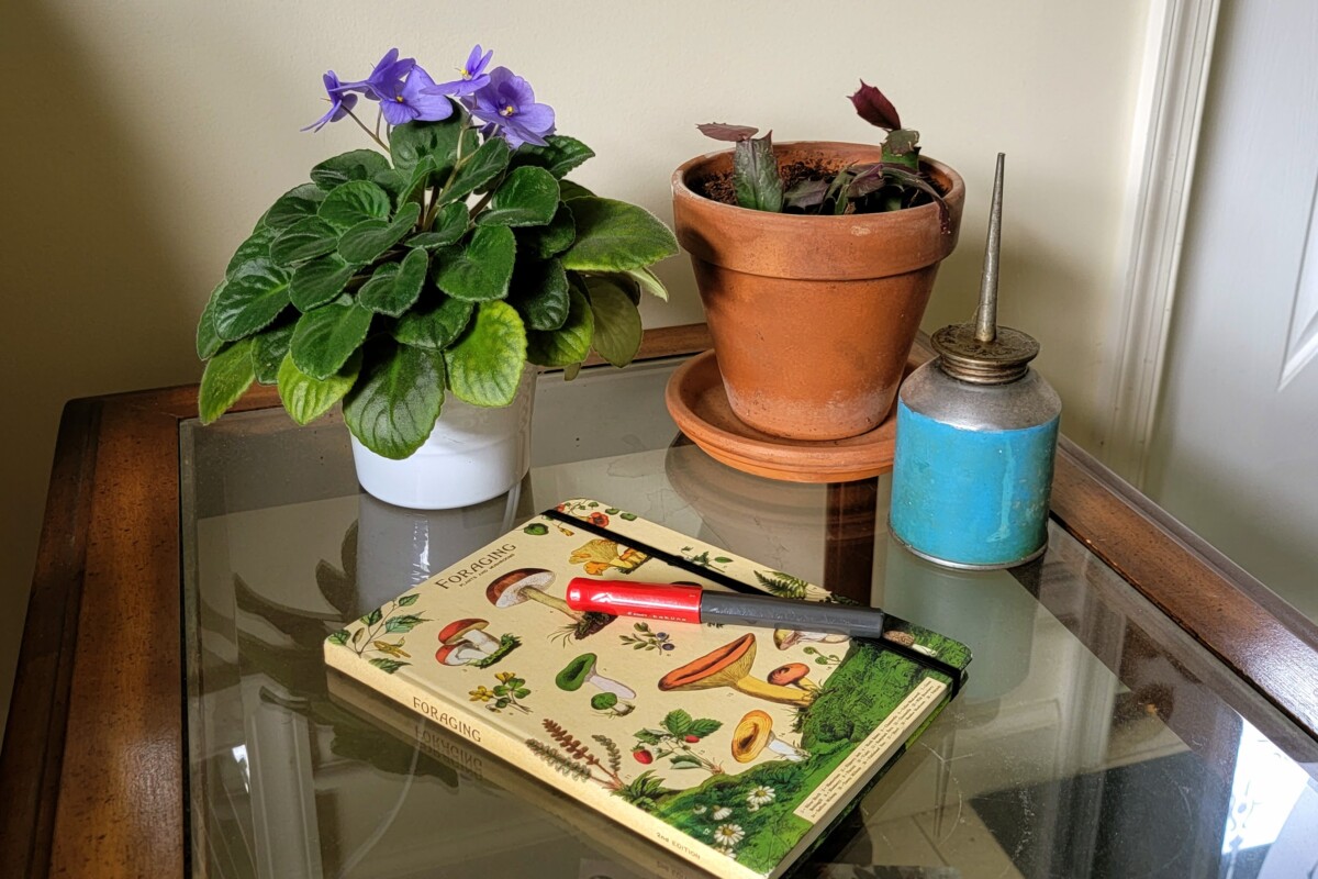 A journal and pen on an end table